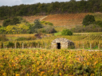 4530 hectares de paysage de la Côte de Nuits classés monuments naturels... après 10 années de combat 
