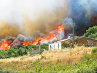 Habitation : comment être indemnisé des dégâts d'un feu de forêt ?