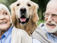 Les chiens et chats... un rempart contre la perte de mémoire ? 