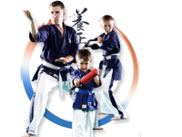 Yoseikan Budo Chalonnais - La nouvelle saison commence 