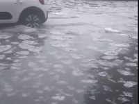 Dans la Loire, un tapis de grêle dans les rues... et des précipitations hors norme 