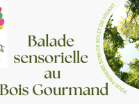 Bois Gourmand du Chalonnais - La prochaine balade sensorielle organisée le 26 septembre 
