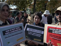 "Nous traversons une crise sans précédent, ça ne tient plus" : le Mouvement associatif lance un cri d'alarme