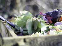 Comment réaliser un compost d’automne avec des déchets de jardin et de cuisine ?