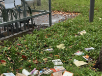 "Pauvre monde" s'insurge un fidèle d'info-chalon.com après son constat au parc du conservatoire 