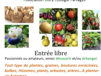 Le troc'plantes de Givry vous attend ce samedi 