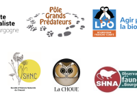 "Est-il nécessaire de tuer plus de 10 000 renards par en Saône et Loire ? " 
