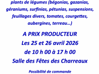 Vente de fleurs et plants de légumes par l'Amicale des Charreaux 