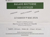 La balade nocturne des lucioles est annoncée le samedi 9 mai à Chamilly