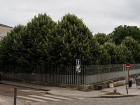 Le quartier du Palais de justice embaume ... 