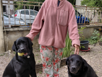 Bienvenue à Vesta, nouveau chien guide à chalon