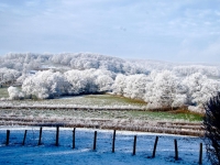 Le givre et ses paysages féériques immortalisés par un fidèle d'info-chalon.com