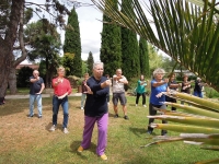 Le Jardin Géo-Botanique de Chalon accueil la pratique du Tai Chi Taoïste.