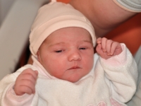 CARNET ROSE - Bienvenue à Livia 