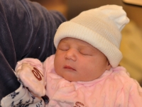 CARNET ROSE - Bienvenue à Shelby 