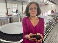 Hospices de Beaune - Ludivine Griveau lève le voile sur le millésime 2023 