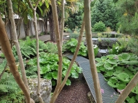 A Saint-Marcel, profitez de l’évènement « Rendez-vous aux Jardins »  samedi 7 et dimanche 8 juin pour pousser la porte de cet endroit rempli de merveilles.