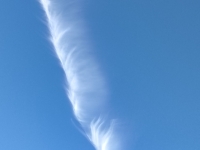 Un ange a perdu une plume ce jour au-dessus de Crissey 