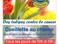 TULIPES CONTRE LE CANCER - Les Lions Club chalonnais vous donnent rendez-vous à compter du 27 mars 