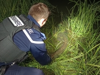 21 infractions à la réglementation de pêche relevées sur les bords de Saône et du Doubs 