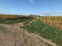 Un promeneur-joggeur écœuré.