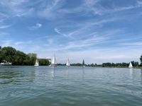 Journée découverte voile pour le CSE ALFI ELECTRONIQUE.