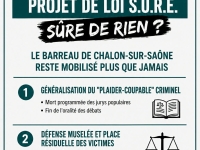 Les avocats de Chalon sur Saône poursuivent leur combat sur le projet de loi S.U.R.E