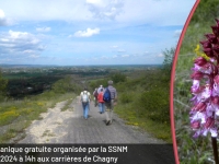 La Société de Sciences Naturelles et Mycologiques de Chalon-sur-Saône organise gratuitement une sortie botanique aux carrières de Chagny-Remigny.