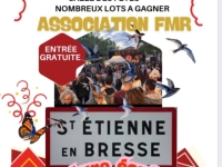 La Foire du printemps de Saint-Etienne en Bresse annoncée le 24 mai 