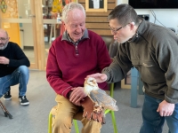 Les Chouettes du Coeur, quand les oiseaux de proie viennent à la rencontre du handicap 