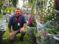 FOIRE AUX PLANTES DE LA FERTE - Une première journée plébiscitée par les visiteurs 
