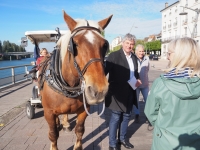 La collecte des corbeilles du centre-ville passera par le cheval à Chalon sur Saône 