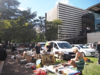 Carton plein pour la brocante du  comité de quartier Saint-Cosme-Bellevue