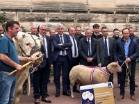 Le Département fête la promotion 2024 du Concours Général Agricole du Salon de l'Agriculture