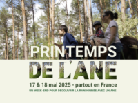 L'âne est à l'honneur avec l'opération du "printemps de l'âne" et de nombreuses animations pour découvrir la randonnée avec un âne 