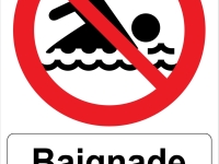 En Côte d'Or, le risque d'interdiction de baignade au lac de Pont de plus en plus probable