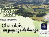 Le Charolais, un paysage de bocage   -  la nouvelle exposition de la Maison du Charolais à découvrir en 2024 !
