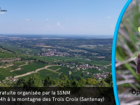 Balade botanique sur la montagne des Trois Croix samedi 26 avril