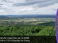 Balade botanique sur la commune de Chassey-le-Camp samedi 30 mai