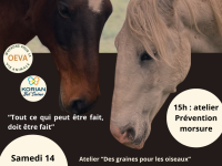 « Un hiver pour les animaux - un EHPAD ouvert à la cité