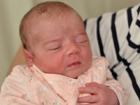 CARNET ROSE - Bienvenue à Coline 