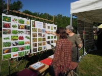 Une journée nature et forêt au cœur des étangs de Fontaine couverte à Givry