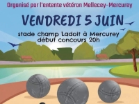L'Entente Vétéran Mellecey-Mercurey organise son concours de pétanque en nocturne le 5 juin 