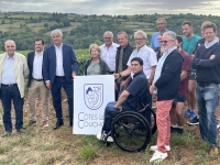 Les vins du Couchois sur la pente ascendante de la reconnaissance 