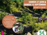 Et si vous partiez visiter la carrière gallo-romaine de Saint-Boil ... 