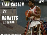 BASKET FAUTEUIL - L'Elan Chalon accueille les Hornets du Cannet ce samedi à l'annexe du Colisée 