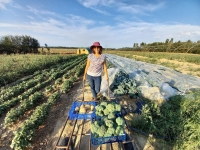 La ferme des Curles à Granges fait appel à vous 