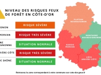 FEUX DE FORETS - Très vives inquiétudes pour les massifs forestiers en Côte d'Or 