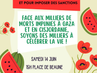 Nouvelle manifestation en soutien à la Palestine ce samedi à Chalon 