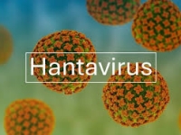 Hantavirus : le gouvernement organise une conférence de presse avec des épidémiologistes, ce mardi à 16h45